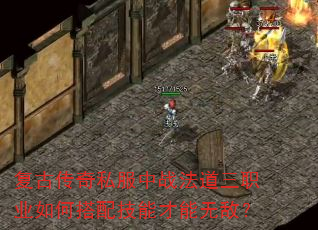 ���Ŵ���˽����ս������ְҵ��δ��似�ܲ����޵У�
