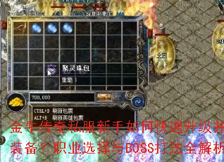 ��ţ����˽��������ο�����������ȡϡ��װ����ְҵѡ����BOSS��ȫ������