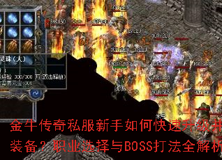 ��ţ����˽��������ο�����������ȡϡ��װ����ְҵѡ����BOSS��ȫ������