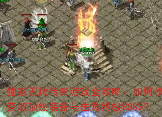 �������⴫����Ϸȫ���ԣ���ο��ٻ�ȡ����װ��������ռ�BOSS��