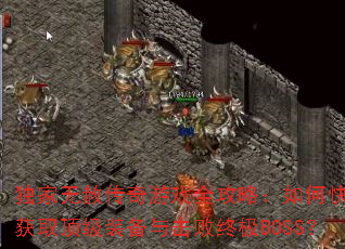 �������⴫����Ϸȫ���ԣ���ο��ٻ�ȡ����װ��������ռ�BOSS��