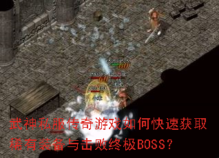 ����˽��������Ϸ��ο��ٻ�ȡϡ��װ��������ռ�BOSS��