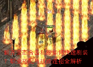 �¿���̬�ϻ�˽����ο���ˢװ��ְҵ�����뼼������ȫ����