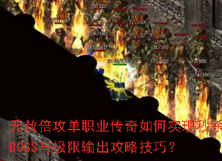 ���ⱶ����ְҵ�������ʵ����ɱBOSS�뼫��������Լ��ɣ�