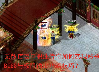 ���ⱶ����ְҵ�������ʵ����ɱBOSS�뼫��������Լ��ɣ�