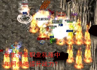�����絥ְҵ˽������ο�������ս����