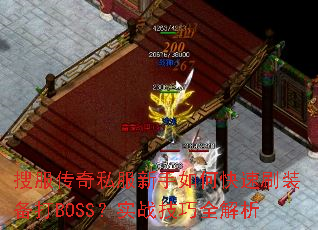 �ѷ�����˽��������ο���ˢװ����BOSS��ʵս����ȫ����