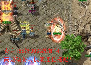 ����185��BOSSս��θ�Ч�Ʒ��뼼�����д��䣿