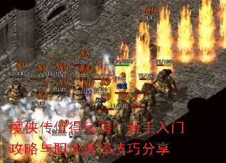 ħ����ֵ�������������Ź�����ְҵѡ���ɷ���