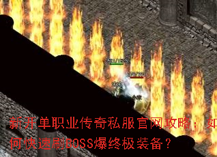 �¿���ְҵ����˽���������ԣ���ο���ˢBOSS���ռ�װ����