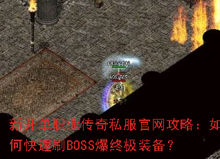 �¿���ְҵ����˽���������ԣ���ο���ˢBOSS���ռ�װ����