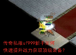 ����˽��sf999������ο�������ս����ȡ����װ����