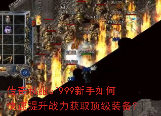 ����˽��sf999������ο�������ս����ȡ����װ����