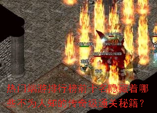 ���Ŷ������а�ǰʮ����������Щ��Ϊ��֪�Ĵ��漶ͨ���ؼ���