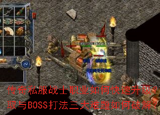 ����˽��սʿְҵ��ο���������װ����ȡ��BOSS��������������ƽ⣿