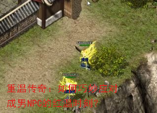 ���´��棺�������Ӧ�Գ���NPC�ĺ���ʱ�̣�