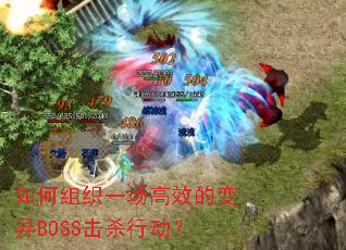 �����֯һ����Ч�ı���BOSS��ɱ�ж���