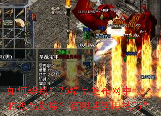 ��α��1.76��Ʒ�������еļ�Ʒ��ħ������Щʵ�ü��ɣ�
