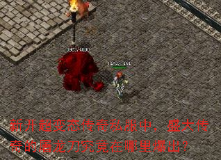 �¿�����̬����˽���У�ʢ��������������������ﱬ����
