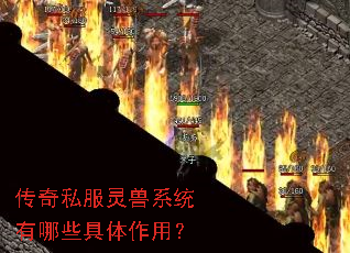 ����˽������ϵͳ����Щ�������ã�