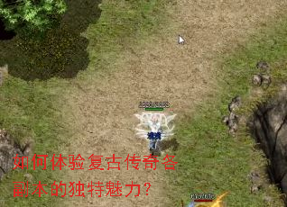 ������鸴�Ŵ���������Ķ���������