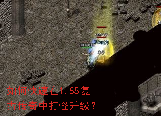 ��ο�����1.85���Ŵ����д��������