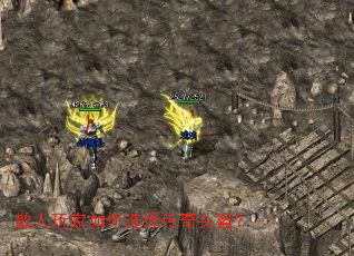 ɢ��������ѡ����ͷ����