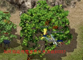 �����ս�����������󶥼�BOSS��