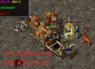 ���Ǵ�½��Ů���������ĺܶ���