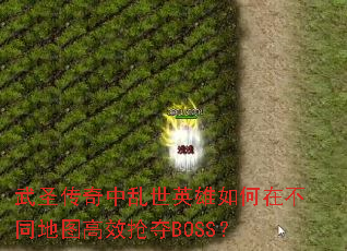 ��ʥ����������Ӣ������ڲ�ͬ��ͼ��Ч����BOSS��