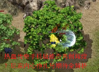 ��Ѫ�����ֻ����ܷ��ٴ��Իͣ���������������ڴ�ȫ����