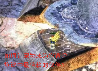 ����ó����Ϊ��ð����;���������Ļ�飿