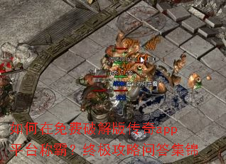 ���������ƽ�洫��appƽ̨�ưԣ��ռ������ʴ𼯽�