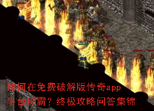 ���������ƽ�洫��appƽ̨�ưԣ��ռ������ʴ𼯽�