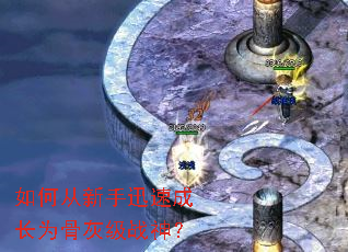 ��δ�����Ѹ�ٳɳ�Ϊ�ǻҼ�ս��