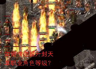 ��ο����������쵥ְҵ��ɫ�ȼ���