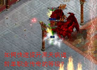 ��ο����������첡���䵥ְҵ����ĵȼ���