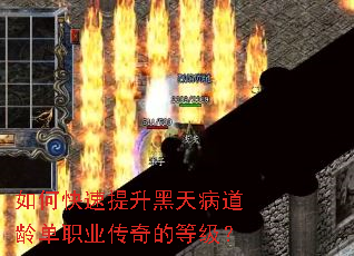 ��ο����������첡���䵥ְҵ����ĵȼ���