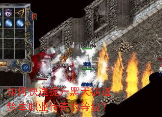 ��ο����������첡���䵥ְҵ����ĵȼ���