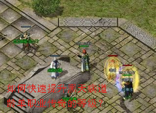 ��ο����������첡���䵥ְҵ����ĵȼ���