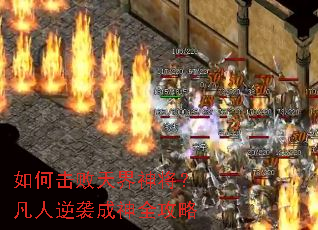 ��λ�������񽫣�������Ϯ����ȫ����