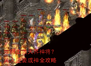 ��λ�������񽫣�������Ϯ����ȫ����