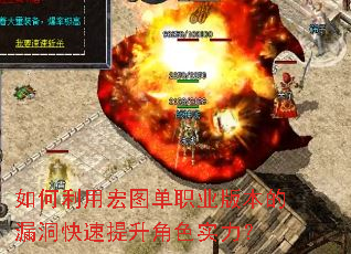 ������ú�ͼ��ְҵ�汾��©������������ɫʵ����