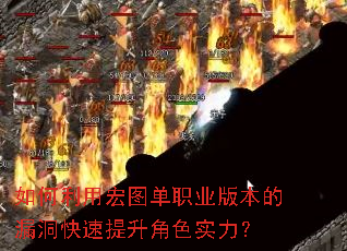 ������ú�ͼ��ְҵ�汾��©������������ɫʵ����