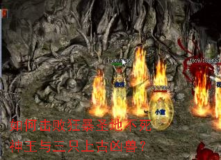 ��λ��ܿ�ʥ�ز�����������ֻ�Ϲ����ޣ�