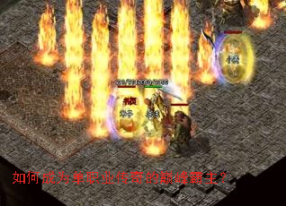 ��γ�Ϊ��ְҵ������۷������