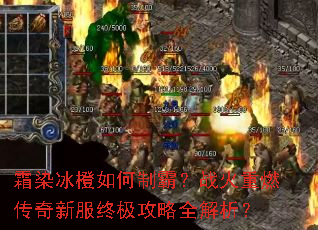 ˪Ⱦ��������ưԣ�ս����ȼ�����·��ռ�����ȫ������