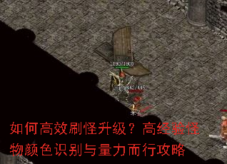 ��θ�Чˢ���������߾��������ɫʶ�����������й���