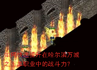��ο��������ڹ��������֮����ְҵ�е�ս������
