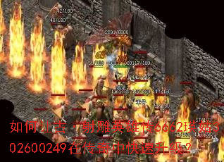 ����ùš����Ӣ�۴�6662����302600249�ڴ����п���������